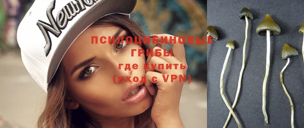 молекула духа Баксан
