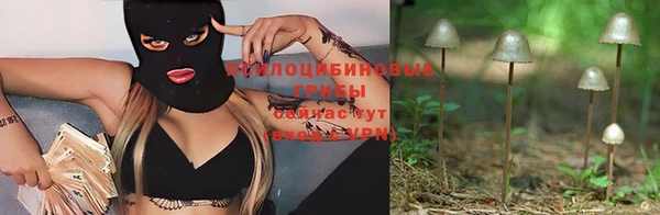 герыч Аркадак