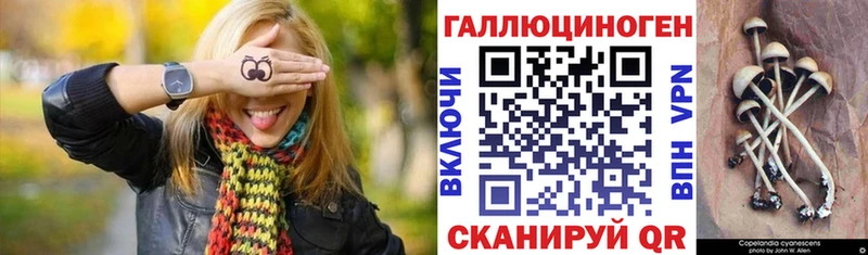 Псилоцибиновые грибы Psilocybine cubensis  кракен как войти  Судак 