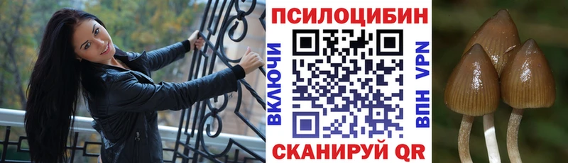 Псилоцибиновые грибы мухоморы Судак